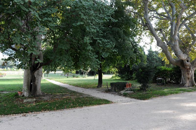 Domaine De Rochegude Avignon Exterior foto